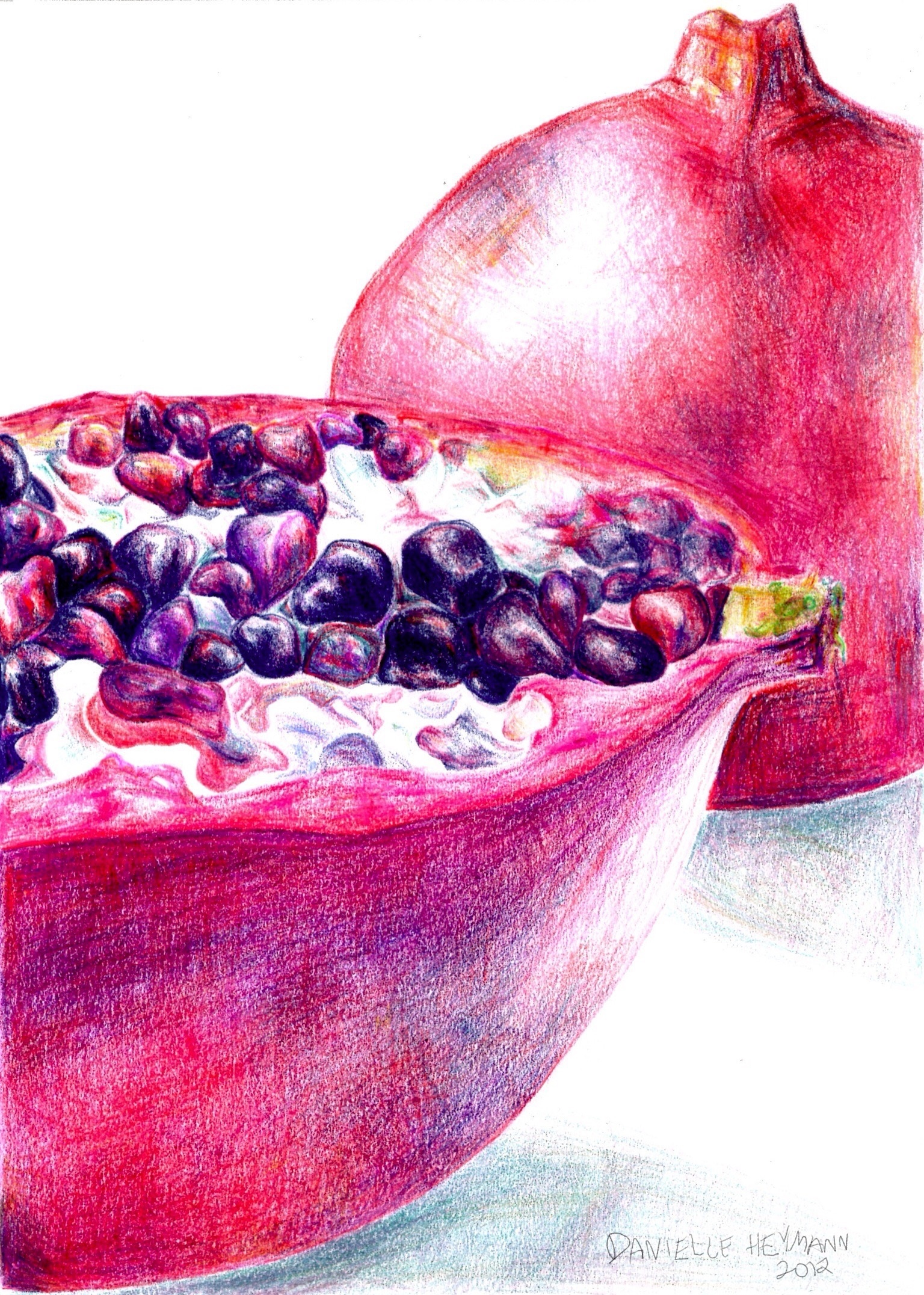 Pomegranates-ColoredPencil